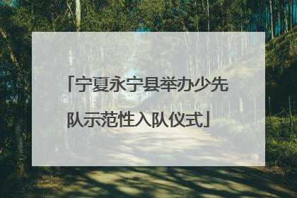 宁夏永宁县举办少先队示范性入队仪式