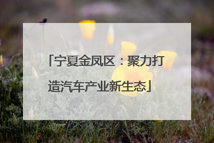 宁夏金凤区：聚力打造汽车产业新生态