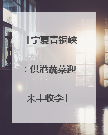 宁夏青铜峡：供港蔬菜迎来丰收季