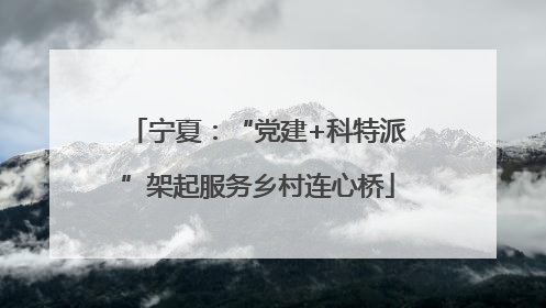宁夏：“党建+科特派”架起服务乡村连心桥