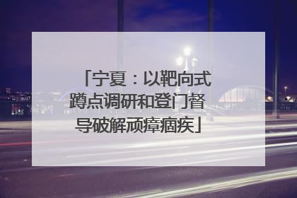 宁夏：以靶向式蹲点调研和登门督导破解顽瘴痼疾