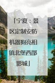 宁夏：景区定制安防机器狗亮相镇北堡西部影城