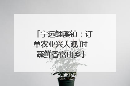 宁远鲤溪镇：订单农业兴大观 时蔬鲜香富山乡