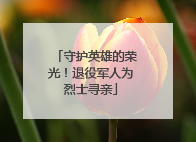 守护英雄的荣光！退役军人为烈士寻亲
