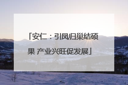 安仁：引凤归巢结硕果 产业兴旺促发展