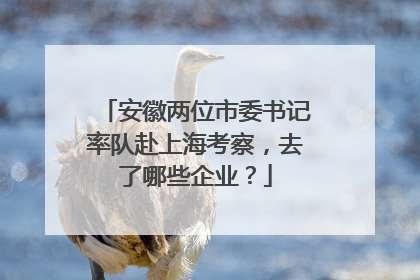 安徽两位市委书记率队赴上海考察，去了哪些企业？
