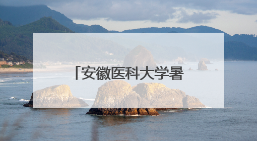 安徽医科大学暑期社会实践团获全国大学生“三下乡”社会实践活动优秀团队