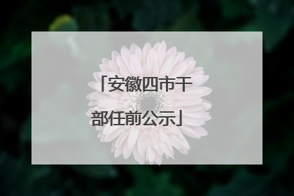 安徽四市干部任前公示