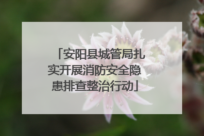 安阳县城管局扎实开展消防安全隐患排查整治行动