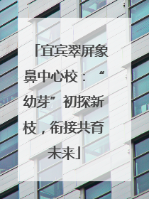 宜宾翠屏象鼻中心校：“幼芽”初探新枝，衔接共育未来