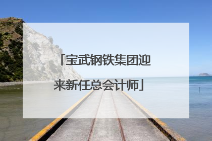 宝武钢铁集团迎来新任总会计师