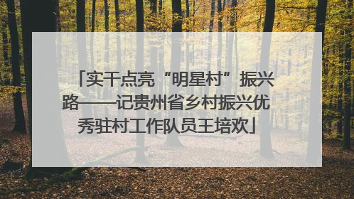 实干点亮“明星村”振兴路——记贵州省乡村振兴优秀驻村工作队员王培欢