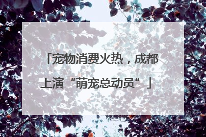 宠物消费火热，成都上演“萌宠总动员”