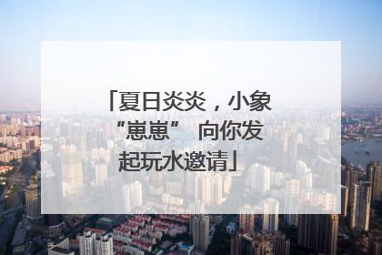 夏日炎炎，小象“崽崽” 向你发起玩水邀请