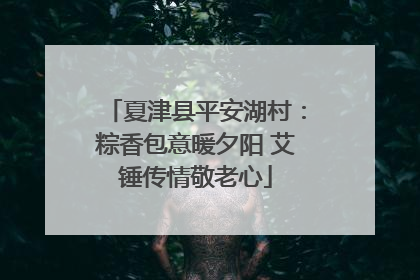 夏津县平安湖村：粽香包意暖夕阳 艾锤传情敬老心