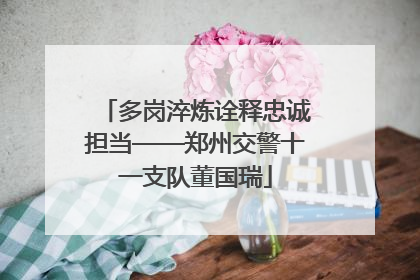 多岗淬炼诠释忠诚担当——郑州交警十一支队董国瑞