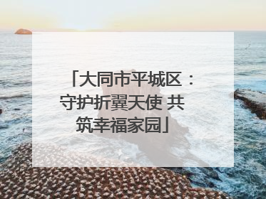 大同市平城区：守护折翼天使 共筑幸福家园