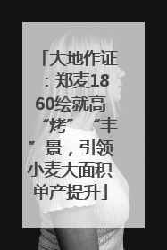 大地作证：郑麦1860绘就高“烤”“丰”景，引领小麦大面积单产提升