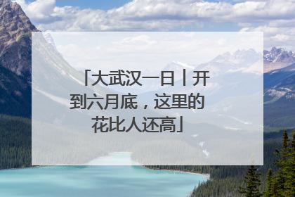 大武汉一日︱开到六月底，这里的花比人还高