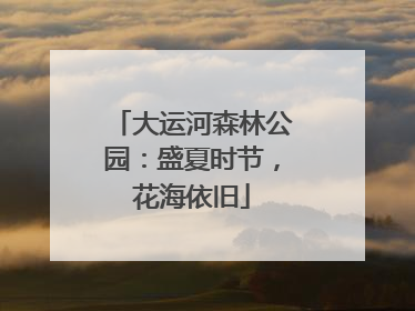 大运河森林公园：盛夏时节，花海依旧