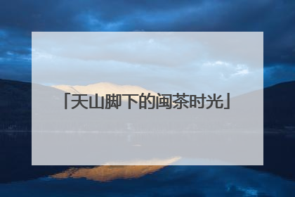 天山脚下的闽茶时光