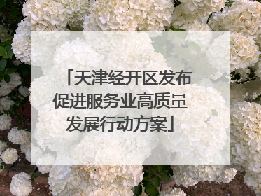 天津经开区发布促进服务业高质量发展行动方案