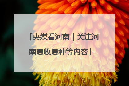 央媒看河南｜关注河南夏收夏种等内容