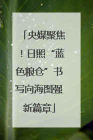 央媒聚焦！日照“蓝色粮仓”书写向海图强新篇章