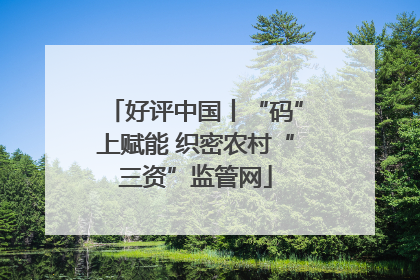 好评中国丨“码”上赋能 织密农村“三资”监管网