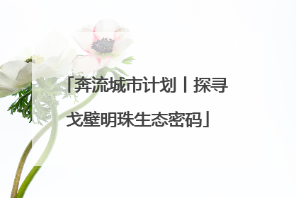 奔流城市计划丨探寻戈壁明珠生态密码