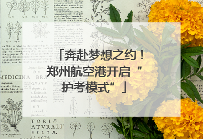 奔赴梦想之约！郑州航空港开启“护考模式”