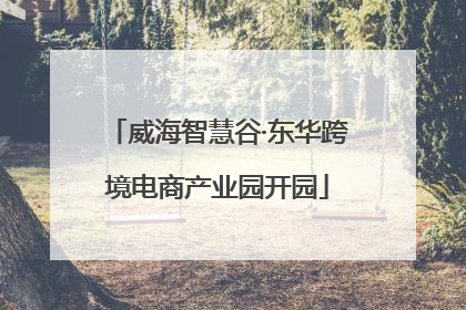 威海智慧谷·东华跨境电商产业园开园