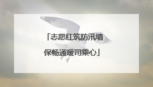 志愿红筑防汛墙 保畅通暖司乘心
