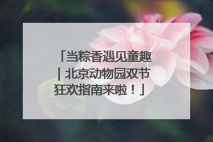 当粽香遇见童趣｜北京动物园双节狂欢指南来啦！