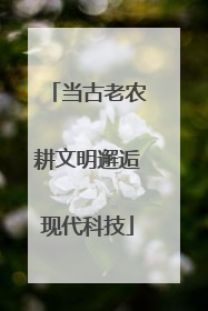 当古老农耕文明邂逅现代科技