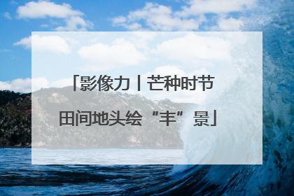 影像力丨芒种时节 田间地头绘“丰”景
