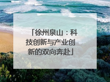 徐州泉山：科技创新与产业创新的双向奔赴