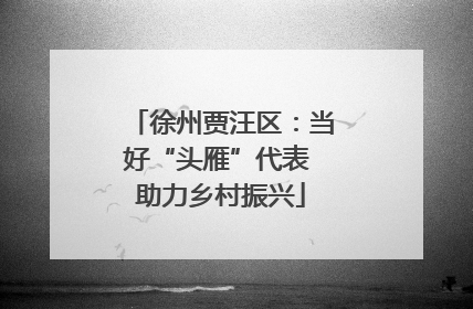 徐州贾汪区：当好“头雁”代表 助力乡村振兴