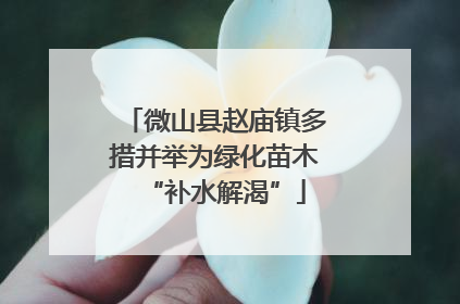 微山县赵庙镇多措并举为绿化苗木“补水解渴”