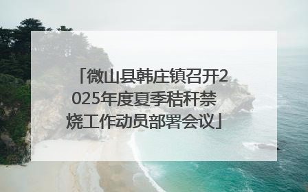 微山县韩庄镇召开2025年度夏季秸秆禁烧工作动员部署会议