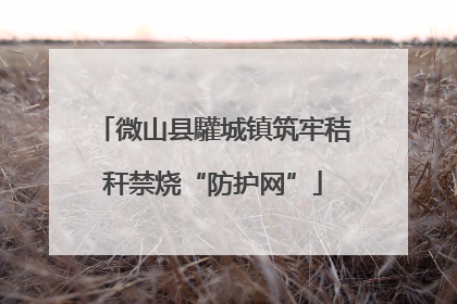 微山县驩城镇筑牢秸秆禁烧“防护网”