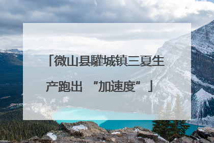 微山县驩城镇三夏生产跑出 “加速度”