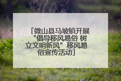 微山县马坡镇开展“倡导移风易俗 树立文明新风”移风易俗宣传活动
