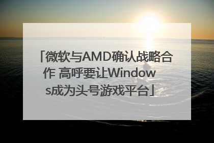 微软与AMD确认战略合作 高呼要让Windows成为头号游戏平台
