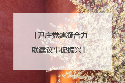 尹庄党建凝合力 联建议事促振兴