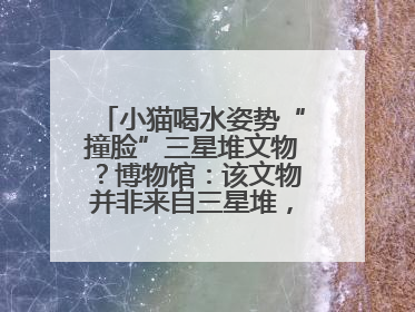 小猫喝水姿势“撞脸”三星堆文物？博物馆：该文物并非来自三星堆，有可能是它