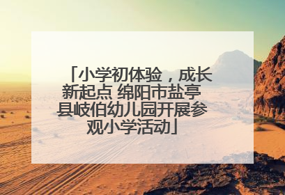 小学初体验，成长新起点 绵阳市盐亭县岐伯幼儿园开展参观小学活动