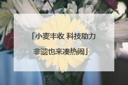 小麦丰收 科技助力 非遗也来凑热闹