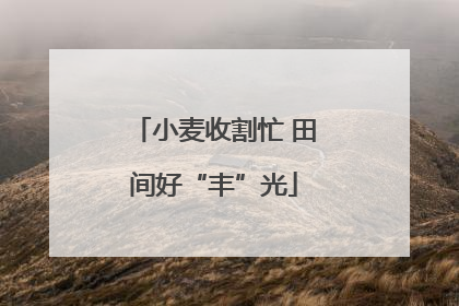 小麦收割忙 田间好“丰”光