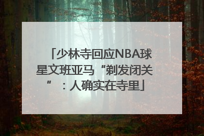 少林寺回应NBA球星文班亚马“剃发闭关”：人确实在寺里